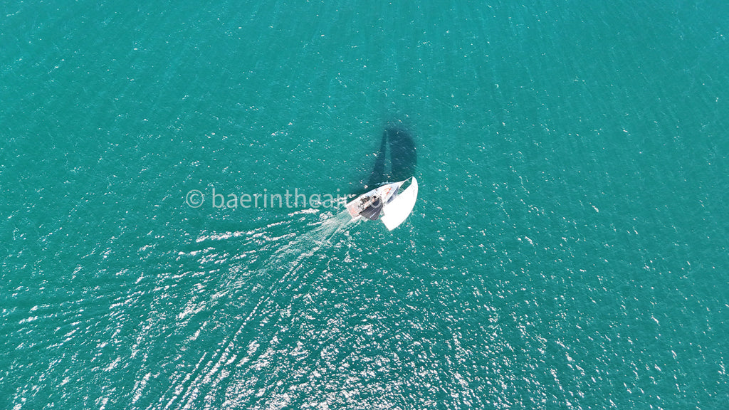 Chasing Wind