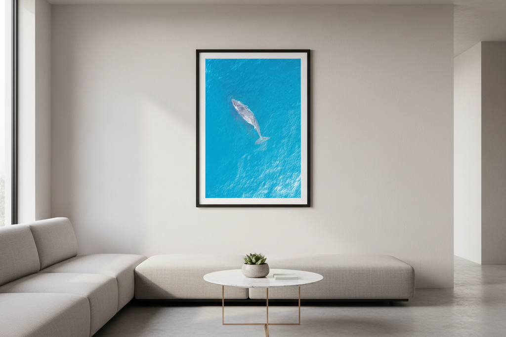 Lone Whale fine art print displayed in a modern living room